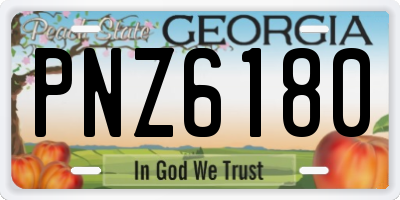 GA license plate PNZ6180