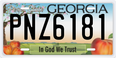 GA license plate PNZ6181
