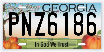 GA license plate PNZ6186