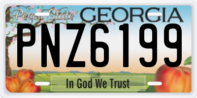 GA license plate PNZ6199