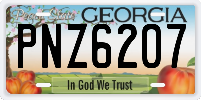 GA license plate PNZ6207