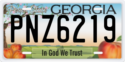 GA license plate PNZ6219