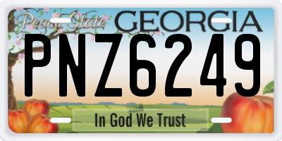 GA license plate PNZ6249