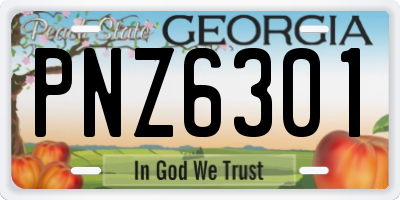 GA license plate PNZ6301