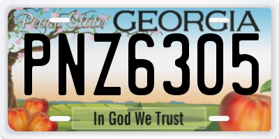 GA license plate PNZ6305