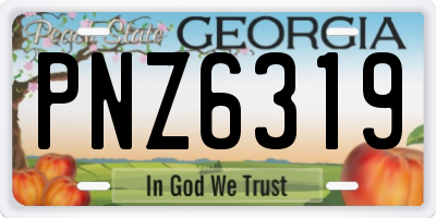 GA license plate PNZ6319
