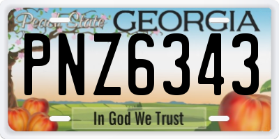 GA license plate PNZ6343