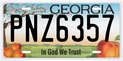 GA license plate PNZ6357