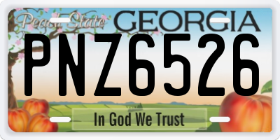 GA license plate PNZ6526