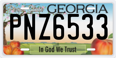 GA license plate PNZ6533