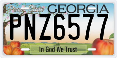 GA license plate PNZ6577