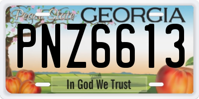 GA license plate PNZ6613