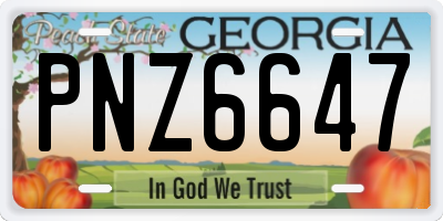 GA license plate PNZ6647