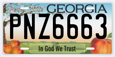 GA license plate PNZ6663