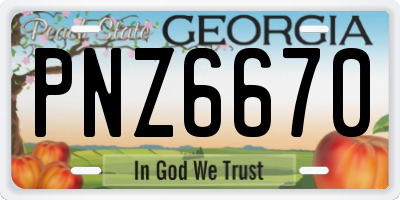 GA license plate PNZ6670