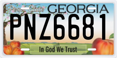 GA license plate PNZ6681