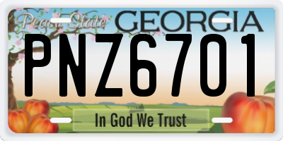 GA license plate PNZ6701