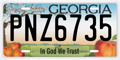 GA license plate PNZ6735