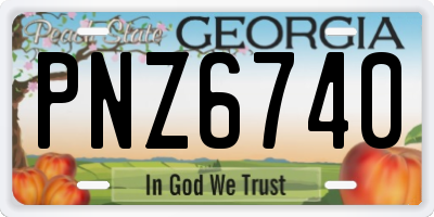 GA license plate PNZ6740