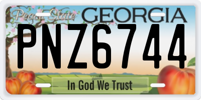 GA license plate PNZ6744