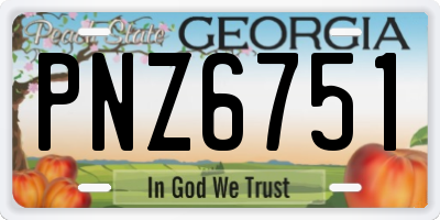 GA license plate PNZ6751