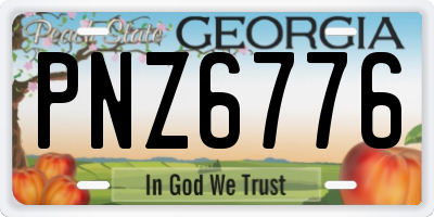 GA license plate PNZ6776