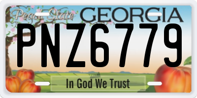 GA license plate PNZ6779