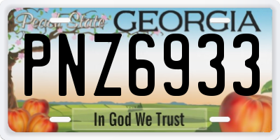 GA license plate PNZ6933