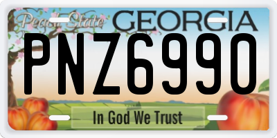 GA license plate PNZ6990