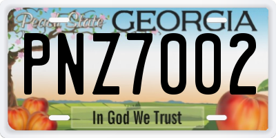 GA license plate PNZ7002