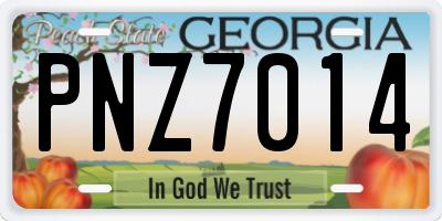 GA license plate PNZ7014