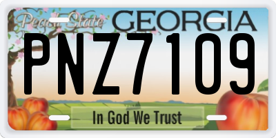 GA license plate PNZ7109