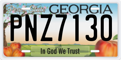 GA license plate PNZ7130