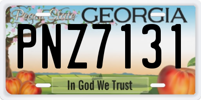 GA license plate PNZ7131