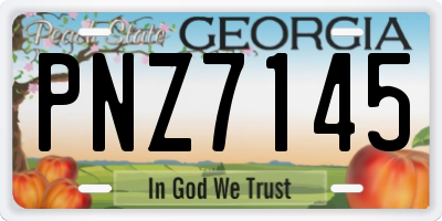 GA license plate PNZ7145