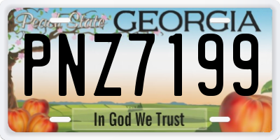 GA license plate PNZ7199