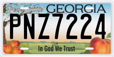 GA license plate PNZ7224