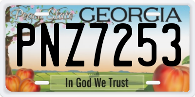 GA license plate PNZ7253