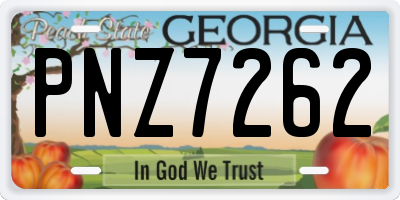 GA license plate PNZ7262