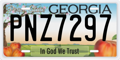GA license plate PNZ7297