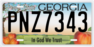 GA license plate PNZ7343