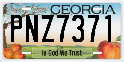 GA license plate PNZ7371