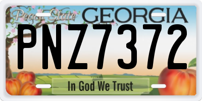 GA license plate PNZ7372