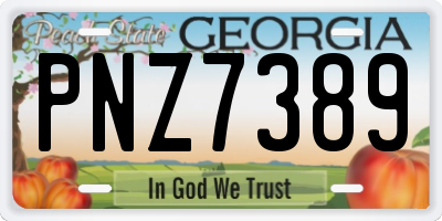 GA license plate PNZ7389