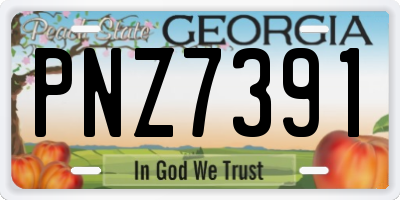 GA license plate PNZ7391