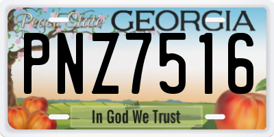 GA license plate PNZ7516