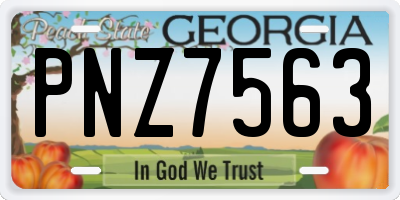 GA license plate PNZ7563