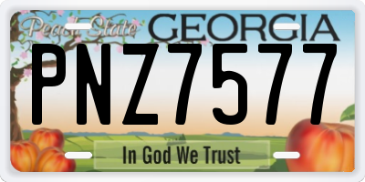 GA license plate PNZ7577