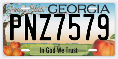 GA license plate PNZ7579