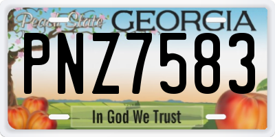 GA license plate PNZ7583